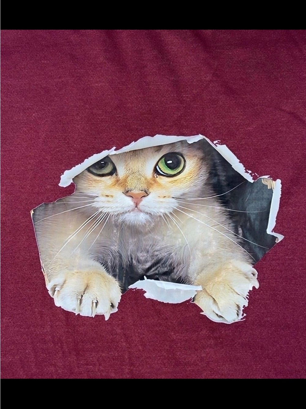 Cat sweater - Picture 4 of 9